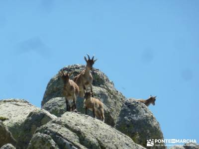 Circo de La Pedriza;fedme senda del oso nacimiento del rio mundo